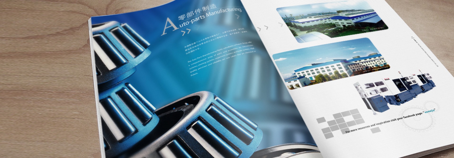 平面設(shè)計(jì)，畫冊設(shè)計(jì)，品牌設(shè)計(jì)，品牌策劃