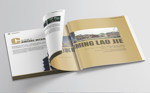 品牌設(shè)計(jì)公司，畫冊設(shè)計(jì)，vi設(shè)計(jì)，logo設(shè)計(jì)，廣告設(shè)計(jì)，平面設(shè)計(jì)